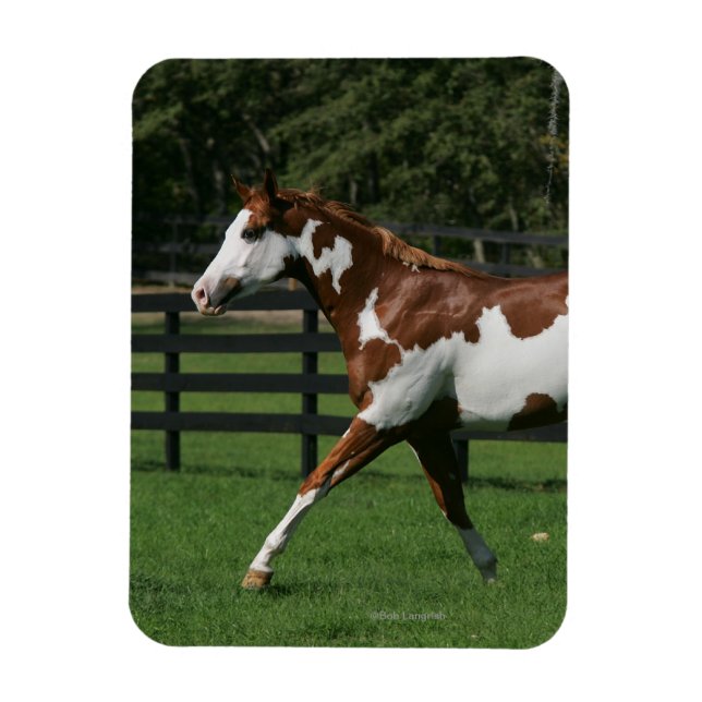 Imán Dibujar caballo corriendo 1 (Vertical)