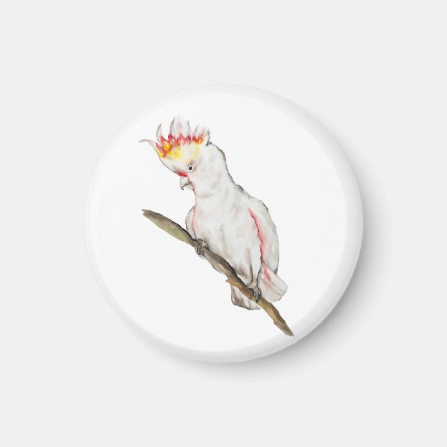 Imán Dibujo acuarela de un loro de cacatúa (Frente)