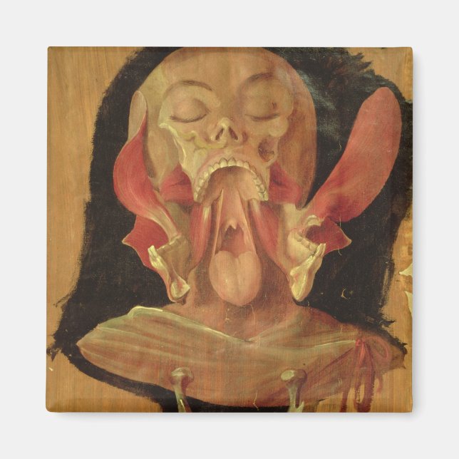 Imán Dibujo anatómico de la cabeza (Frente)