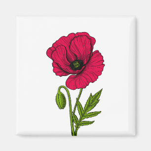 Imán Dibujo de amapola roja