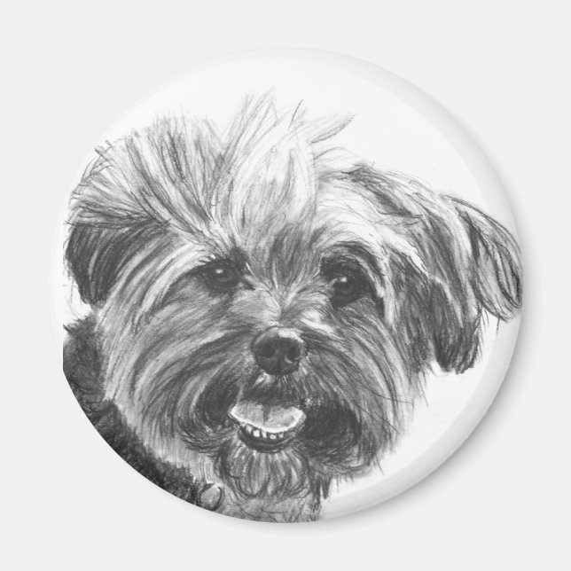 Imán Dibujo de carbón de Yorkie Mix (Frente)