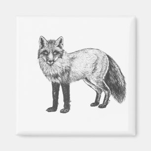 Imán Dibujo de Fox