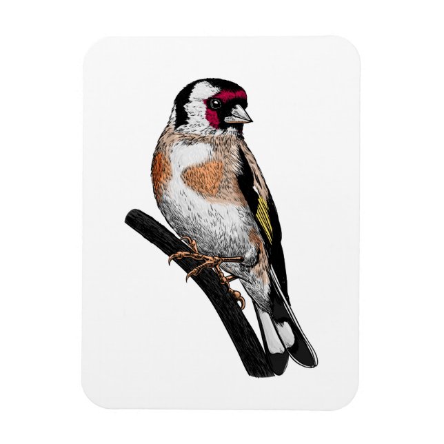 Imán Dibujo de Goldfinch (Vertical)