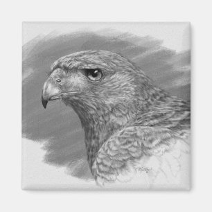 Imán Dibujo de Hawk Harris