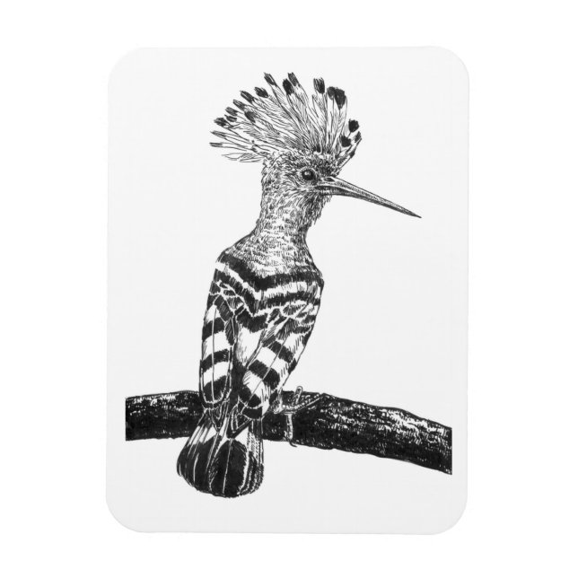 Imán Dibujo de hooposa (Vertical)