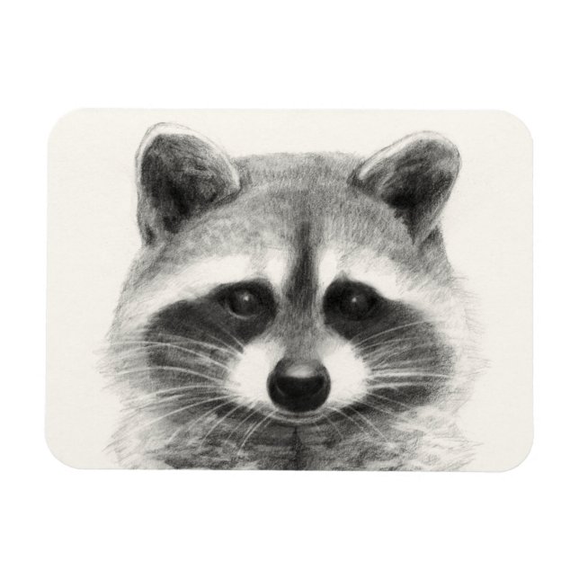 Imán Dibujo de lápiz de mapache (Horizontal)