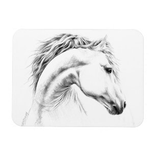 Imán Dibujo de lápiz de retrato de caballo Arte ecuestr