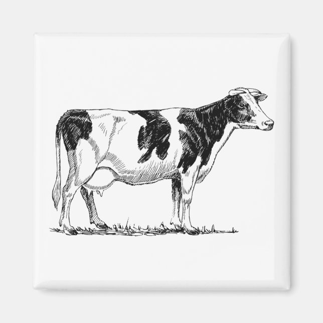 Imán Dibujo de lápiz Fresian Dairy Cow Holstein (Frente)