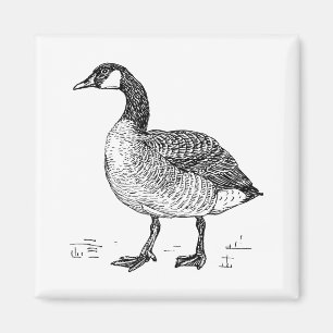 Imán Dibujo de naturaleza ganosa canadiense Bella Artes