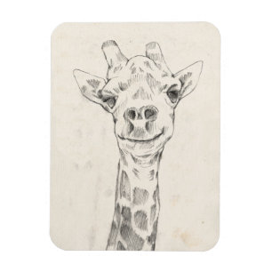 Imán Dibujo de retrato de jirafa