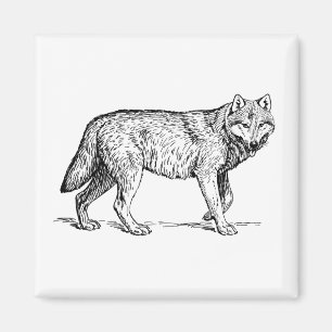 Imán Dibujo de tinta elegante de lobo gris