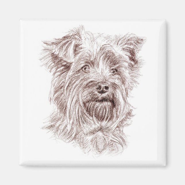 Imán Dibujo de Yorkshire Terrier (Frente)