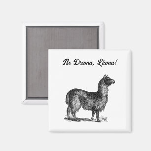 Imán Dibujo divertido de llama, tinta de animal lindo