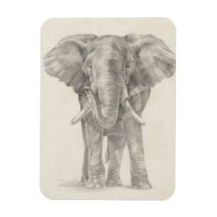 Imán Dibujo elefante