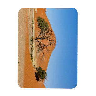 Imán Die Dünen des Sossusvlei en Namibia