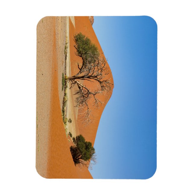 Imán Die Dünen des Sossusvlei en Namibia (Vertical)