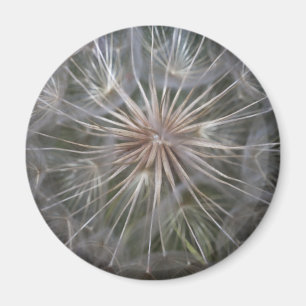 Imán Diente de león