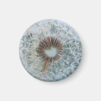 Diente de León Blanco Precioso