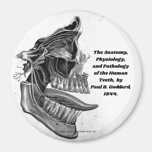 Imán "Dientes" (Frente)