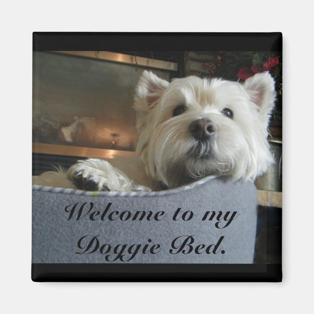Imán Dignified Westie Photo Magnet (Frente)