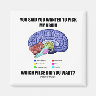 Imán Dijiste Que Querías Elegir Mi Cerebro (Anatomía)