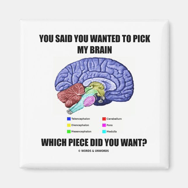 Imán Dijiste Que Querías Elegir Mi Cerebro (Anatomía) (Frente)