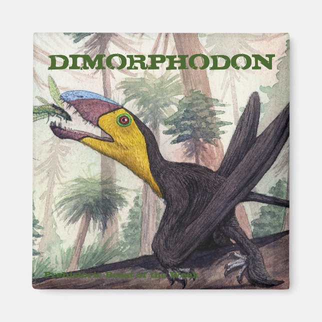 Imán Dimorphodon Magnet (Frente)