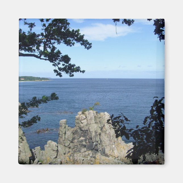 Imán Dinamarca: Costa de Dinamarca (Frente)