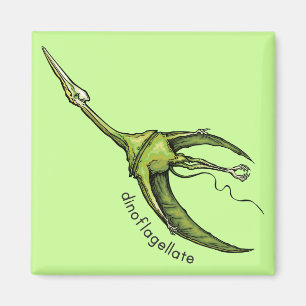 Imán Dinoflagellate