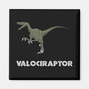 Imán Dinosaurio del Velociraptor