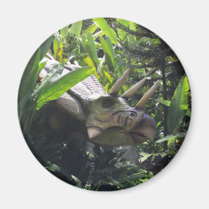 Imán Dinosaurio en estado salvaje