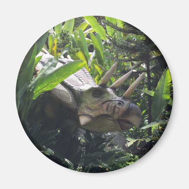 Imán Dinosaurio salvaje (Frente)