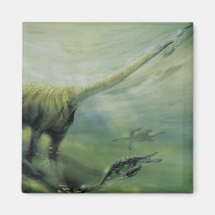 Imán Dinosaurios antiguos, Brachiosaurus nadando en el 