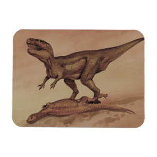Imán Dinosaurios antiguos, Giganotosaurus carnívoro