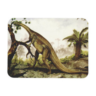 Imán Dinosaurios antiguos, Plateosaurus pastando en árb