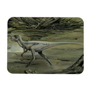 Imán Dinosaurios antiguos, un Hypsilophodon del Cretáci