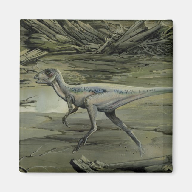 Imán Dinosaurios de época, un hipsilofón cretácico (Frente)