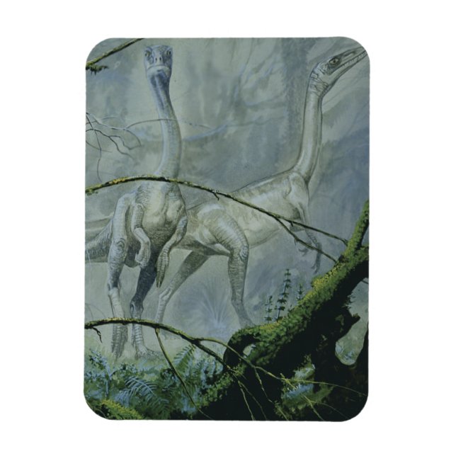 Imán Dinosaurios Vintage, Megapnosaurus aka Syntarsus (Vertical)