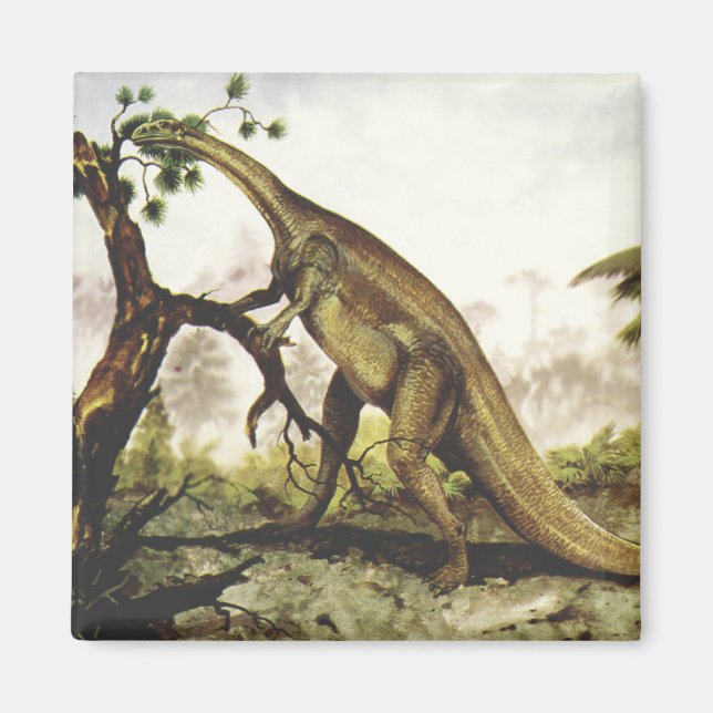 Imán Dinosaurios Vintage, Plateosaurus Pastando en Árbo (Frente)