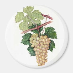 Imán Dionysus y colección de Rhea