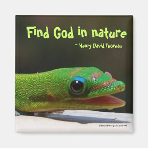 Imán Dios del hallazgo en naturaleza