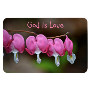 Imán Dios es corazones del amor