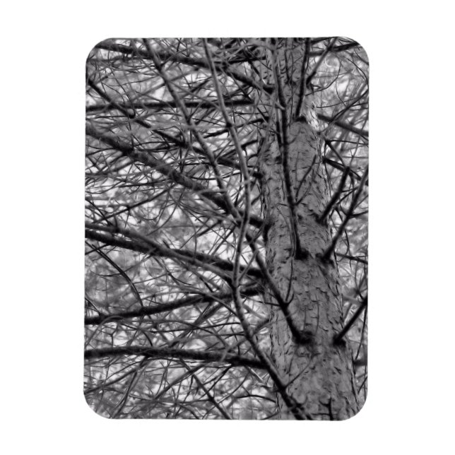Imán Dirección de ramas de pinos en blanco y negro (Vertical)