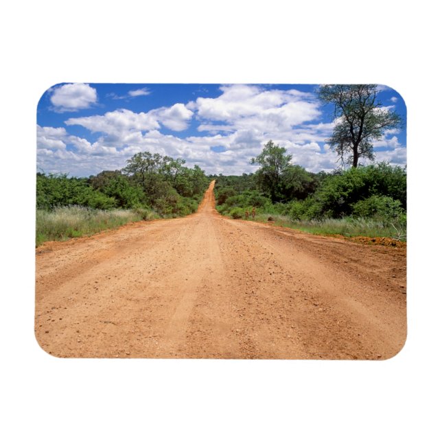 Imán Dirt Road, Parque Nacional Kruger, Mpumalanga (Horizontal)