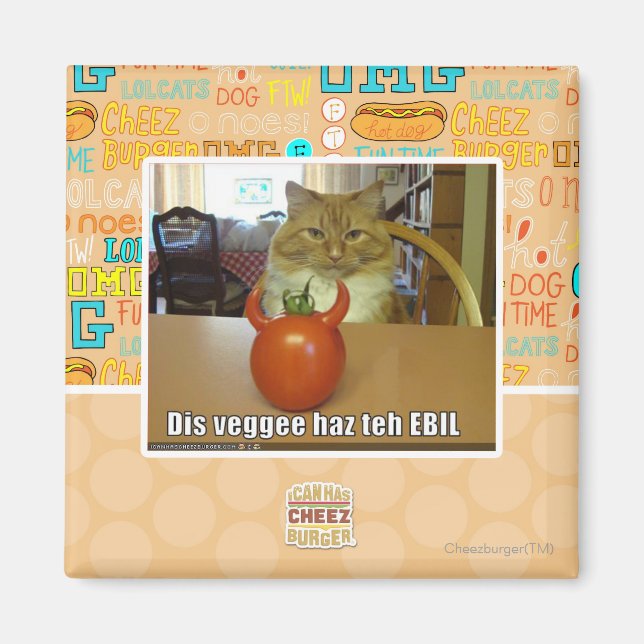Imán Dis veggee haz el EBIL (Frente)