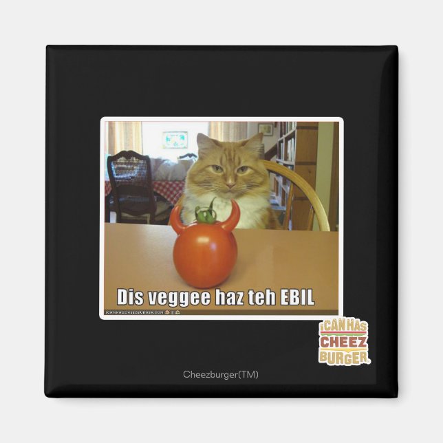 Imán Dis veggee haz el EBIL (Frente)