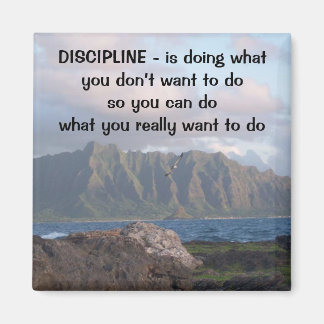 Imán Disciplina