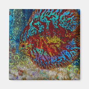 Imán Discus Fish Magnet