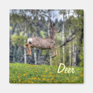 Imán Diseño de animales de vida silvestre para ciervos