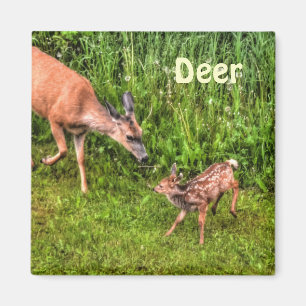 Imán Diseño de animales para la vida salvaje Deer Doe &